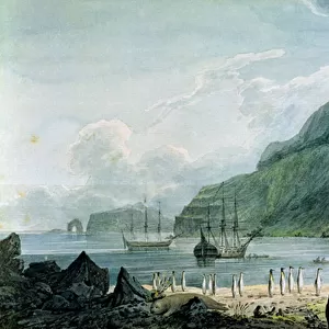A view of Christmas Harbour in Kerguelens Land, 1781-4 (w / c)