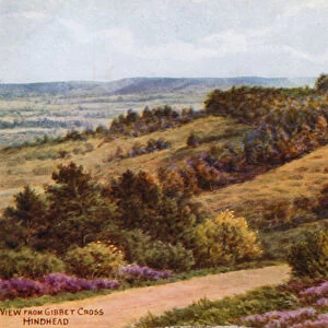 View from Gibbet Cross, Hindhead (colour litho)