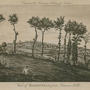 View of Hampstead from Primrose Hill (engraving)