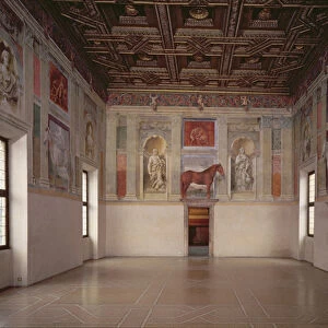 View of the Sala dei Cavalli, 1528 (photo) (for details see 78490-97)