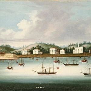 A view of Singapore from the roads with American, French and British shipping, c