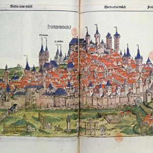 View of the town of Nuremberg, from the Nuremberg Chronicle by Hartmann Schedel