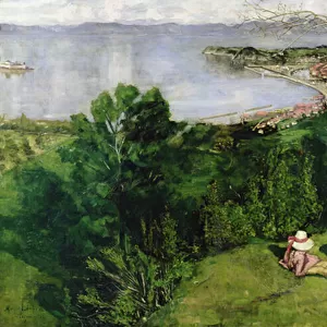View over Trondheim, 1886 (oil on canvas)