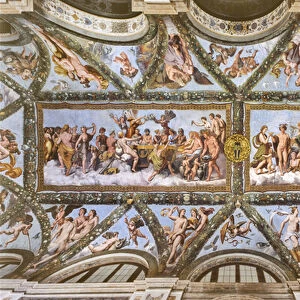 View of the vaults of the Loggia of Cupid and Psyche