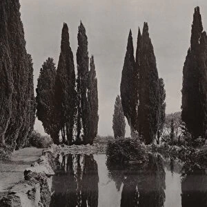 Villa Falconieri, Frascati, Mirrored Cypresses (b / w photo)