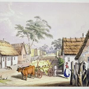 A village of German settlers near Adelaide, 1846 (coloured engraving)