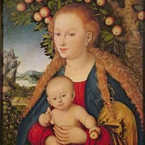 The Virgin and Child under an Apple Tree, 1520-26 (oil on canvas transferred