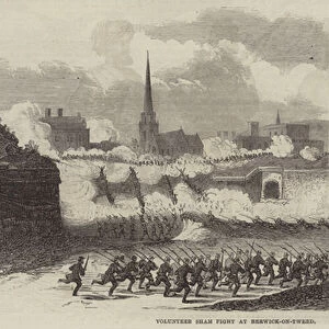 Volunteer Sham Fight at Berwick-on-Tweed (engraving)