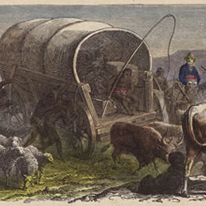 Wagon train in South Africa (coloured engraving)