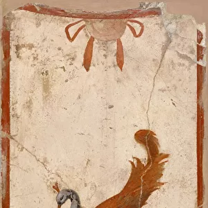 Wall Fragment with Peacock, 1st century (fresco)