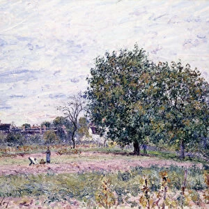 Walnut Trees, Effect of the Setting Sun - First Day of October, 1882 (oil on canvas)