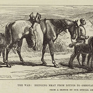 The War, bringing Meat from Djunis to Greovatz for the Servian Army (engraving)