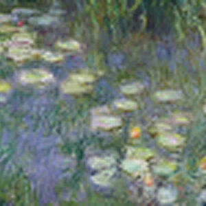 Waterlilies: Morning, 1914-18 (left, centre left, centre right and rigth section)