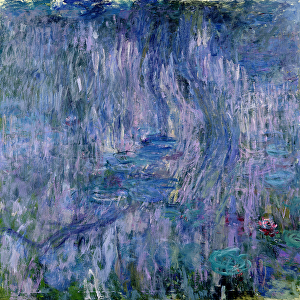 Waterlilies and Reflections of a Willow Tree, 1916-19 (see detail 414405) (oil on canvas)