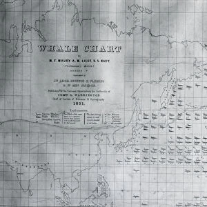 Whale Chart of the North Pacific, 1851 (litho)