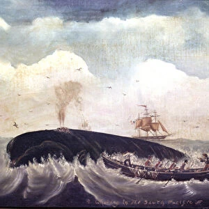 Whaling in the South Pacific (oil on canvas)