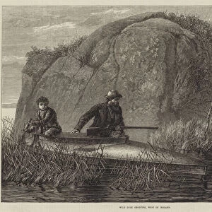 Wild Duck Shooting, West of Ireland (engraving)