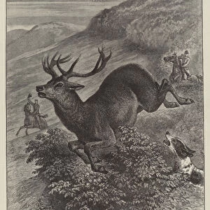 The Wild West of England, unharbouring a Stag on Exmoor (engraving)