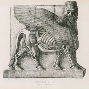 Winged bull, from Khorsabad, Louvre (engraving)