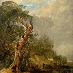 The Withered Tree (oil on wood)