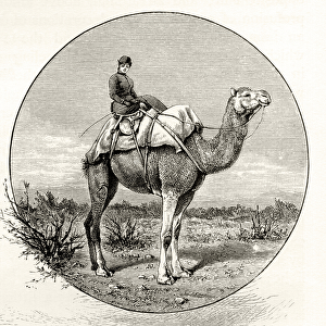 Woman on a Camel in Australia, c. 1880, from Australian Pictures by Howard Willoughby