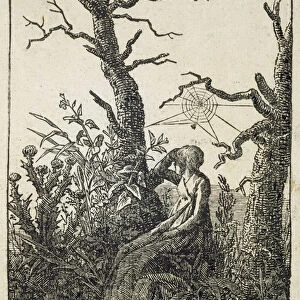 The Woman with a Spiders Web in the middle of Leafless Trees (woodcut)