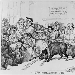 The Wonderful Pig, 1785 (etching)