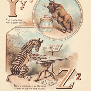 Y Z: Yak, Zebra
