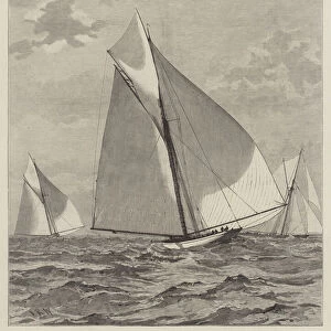 Yacht-Race for the America Cup, Trial-Race (16 September) between the American Yachts Mayflower and Volunteer, the Thistle in Company (engraving)