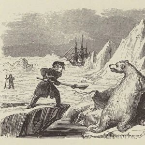The young Nelson killing a polar bear (engraving)