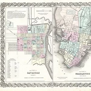 1855, Colton Plan or Map of Charleston, South Carolina and Savannah, Georgia, topography