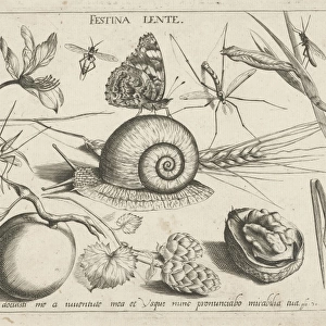Animals, plants and fruits around a snail, print maker: Jacob Hoefnagel, Joris Hoefnagel