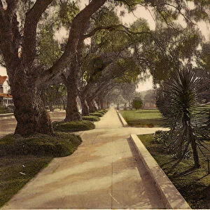Avenues United States History Pasadena California