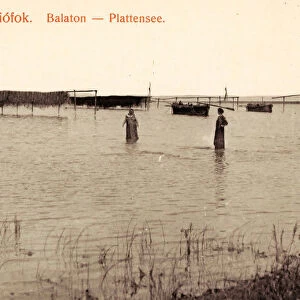 Balaton Rowboats 1908 Somogy County Siofok Plattensee