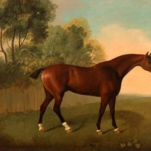A Bay Horse in a Field Horse in a Landscape Signed and dated, lower right: JB