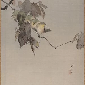 Birds Branch Meiji period 1868-1912 ca 1887