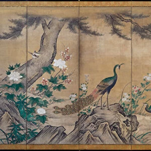 Birds Trees Flowers late 1500s Kano Mitsunobu