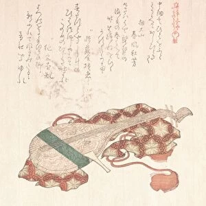 Biwa Japanese Lute Cover Edo period 1615-1868