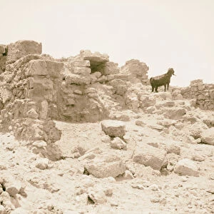 Caesarea Kaisarieh Drain close North Crusader