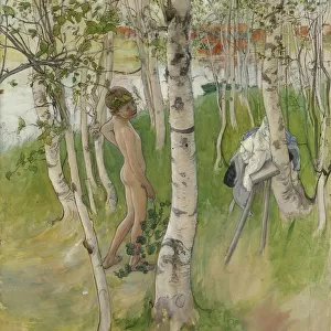 Carl Larsson Ulf Nude Boy Birches naked boy birch trunks