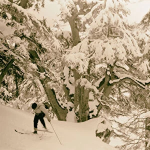 Cedars Lebanon snow skiers 1946