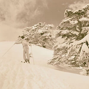 Cedars skiing grove 1946 Lebanon