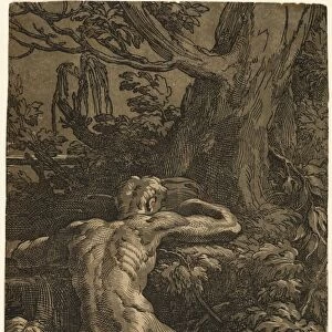 Drawings Prints, Print, Narcissus, Man Seated Back, Artist, Antonio da Trento, Parmigianino