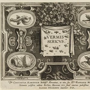 Drawings Prints, Title, Plate, Introduction, Silkworm, [Vermis, Sericus, Publisher