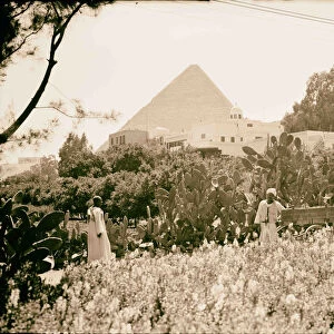 Egypt Cairo Hotels Mena House pyramids gardens