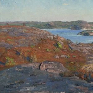 Elias Erdtman Landscape FjAÔé¼rAas Halland Oil