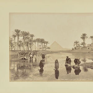 Femmes Fellahs puisant de l eau pre des pyramides