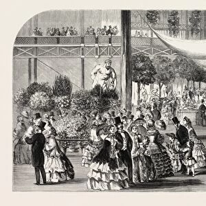Flower Show at the Crystal Palace, London, Uk, 1857