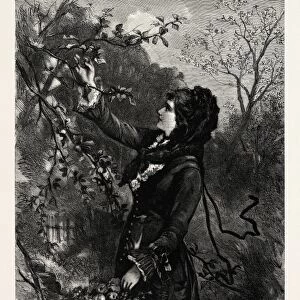 FRUIT, engraving 1882, lady