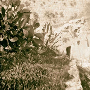 Garden Tomb Gordon Calvary 1935 Jerusalem Israel